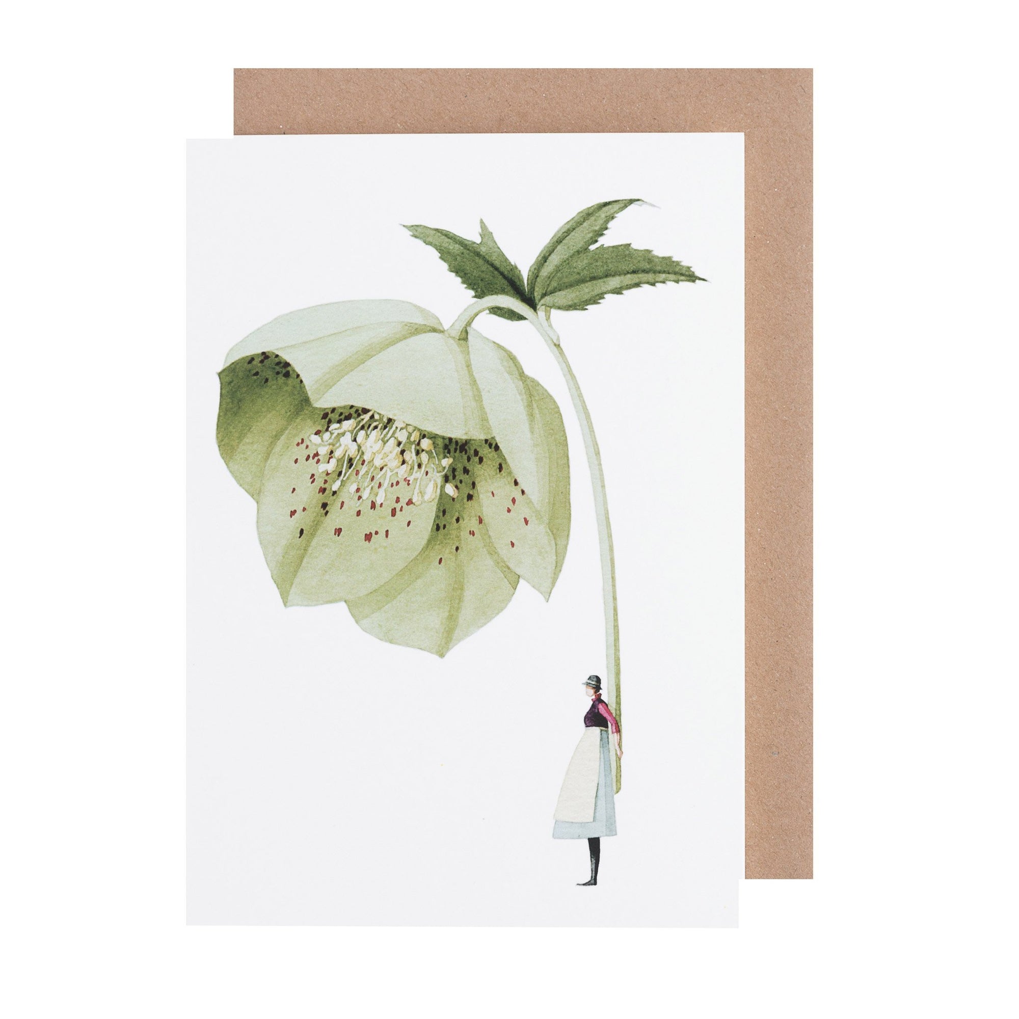 Laura Stoddart Greeting Card - Hellebore