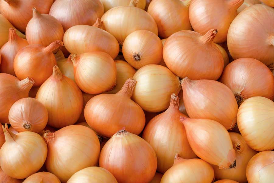 Onion Brown - per kg